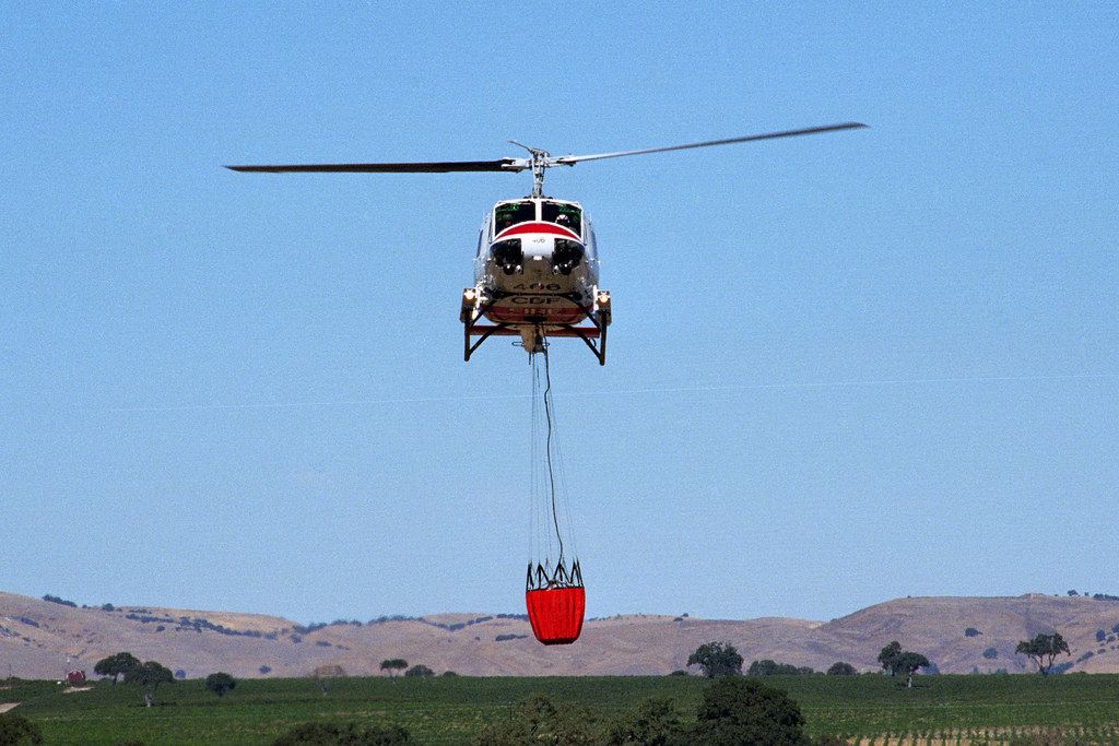 Bambi Bucket