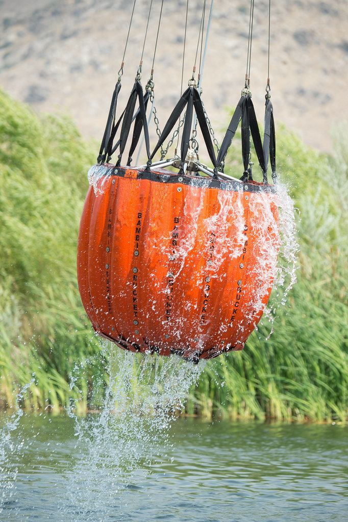 Bambi Bucket
